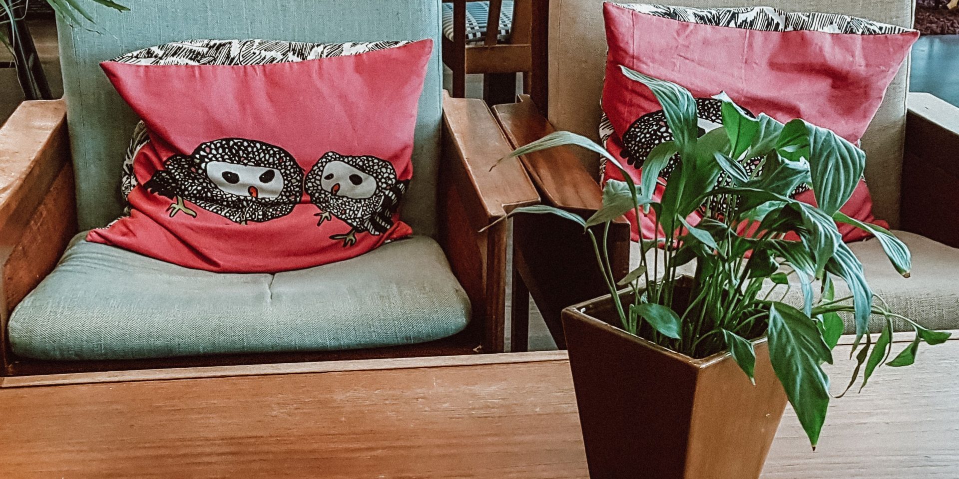 Kuvan etualalla olevan pöydän päällä on vihreä huonekasvi. Pöydän ääressä on kaksi nojatuolia, jonka päällä on kaksi punaista tyynyä, joissa on pöllöjä.